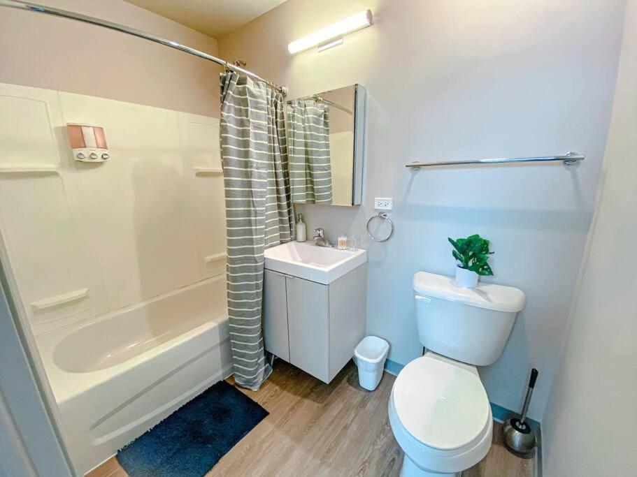 Modern 2Br In South Loop Near Soldier Field, Grant Park, Downtown, & Lakefront Trail Chicago Exterior foto